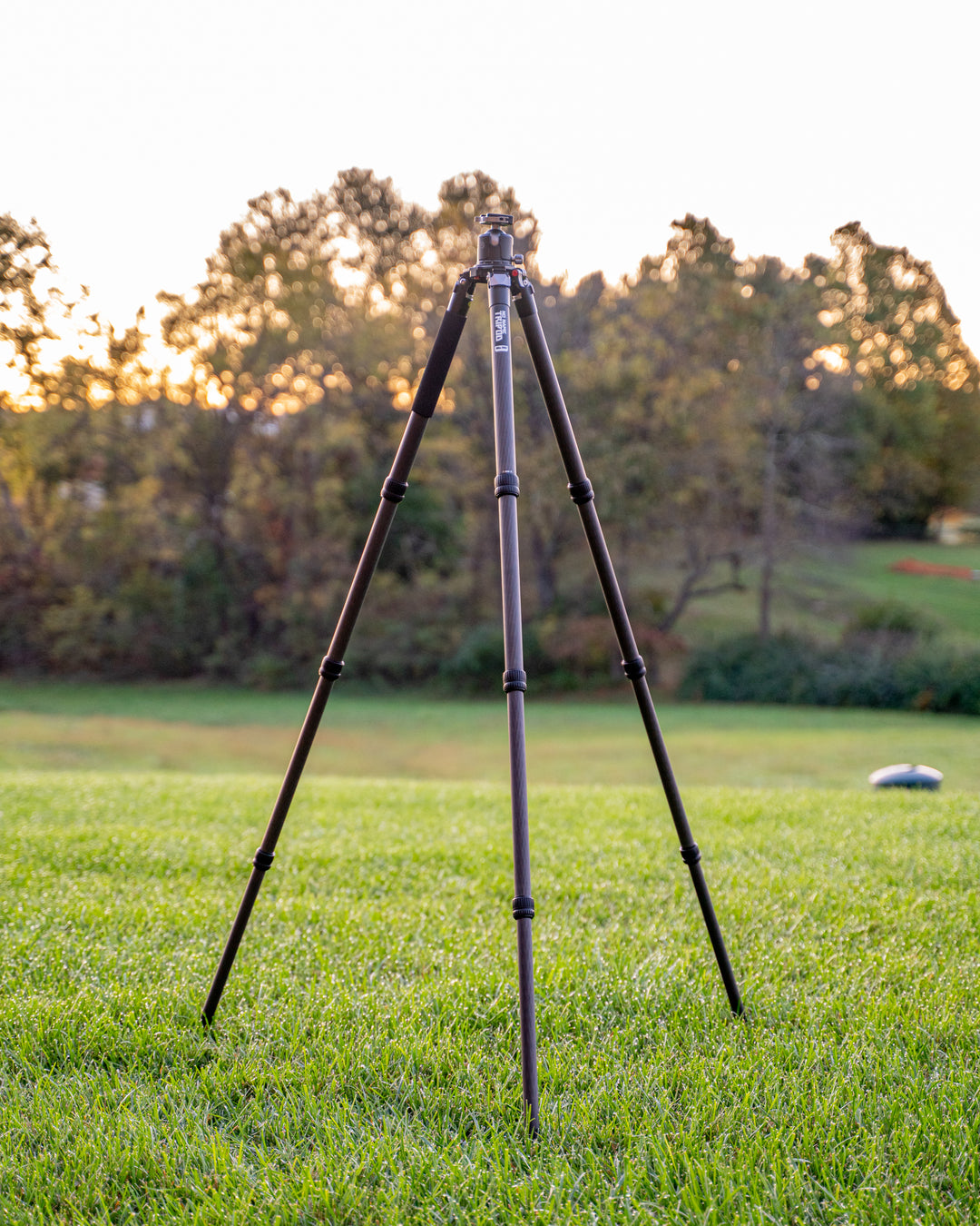 Tripod Organization